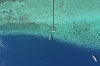 Τοιχογραφία