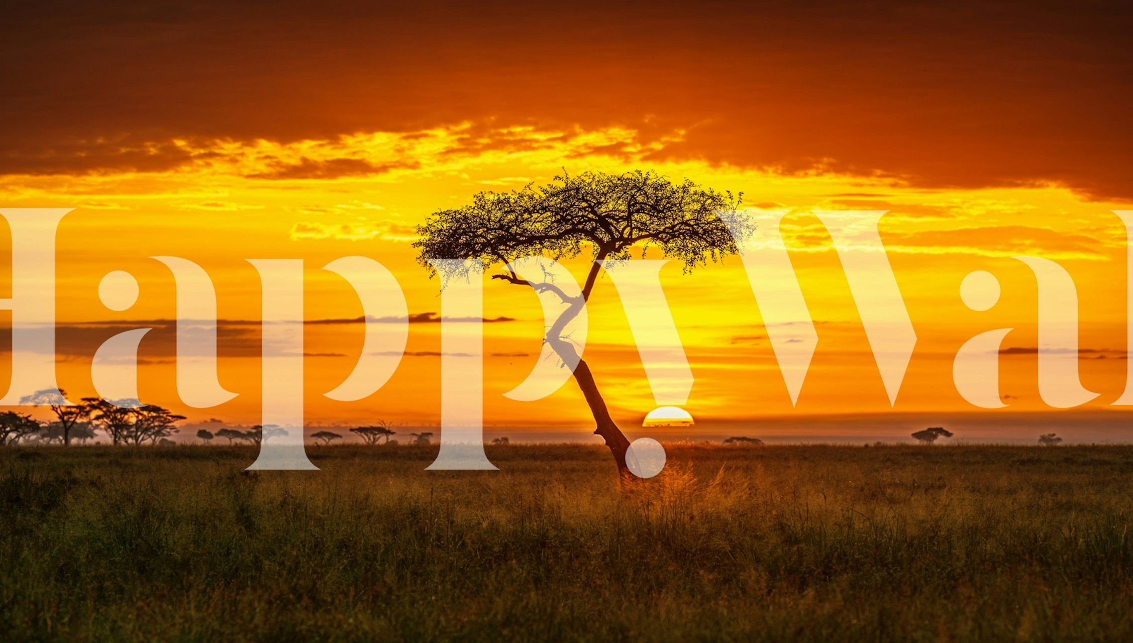 Ταπετσαρία Primordial Africa με τοπίο ηλιοβασιλέματος