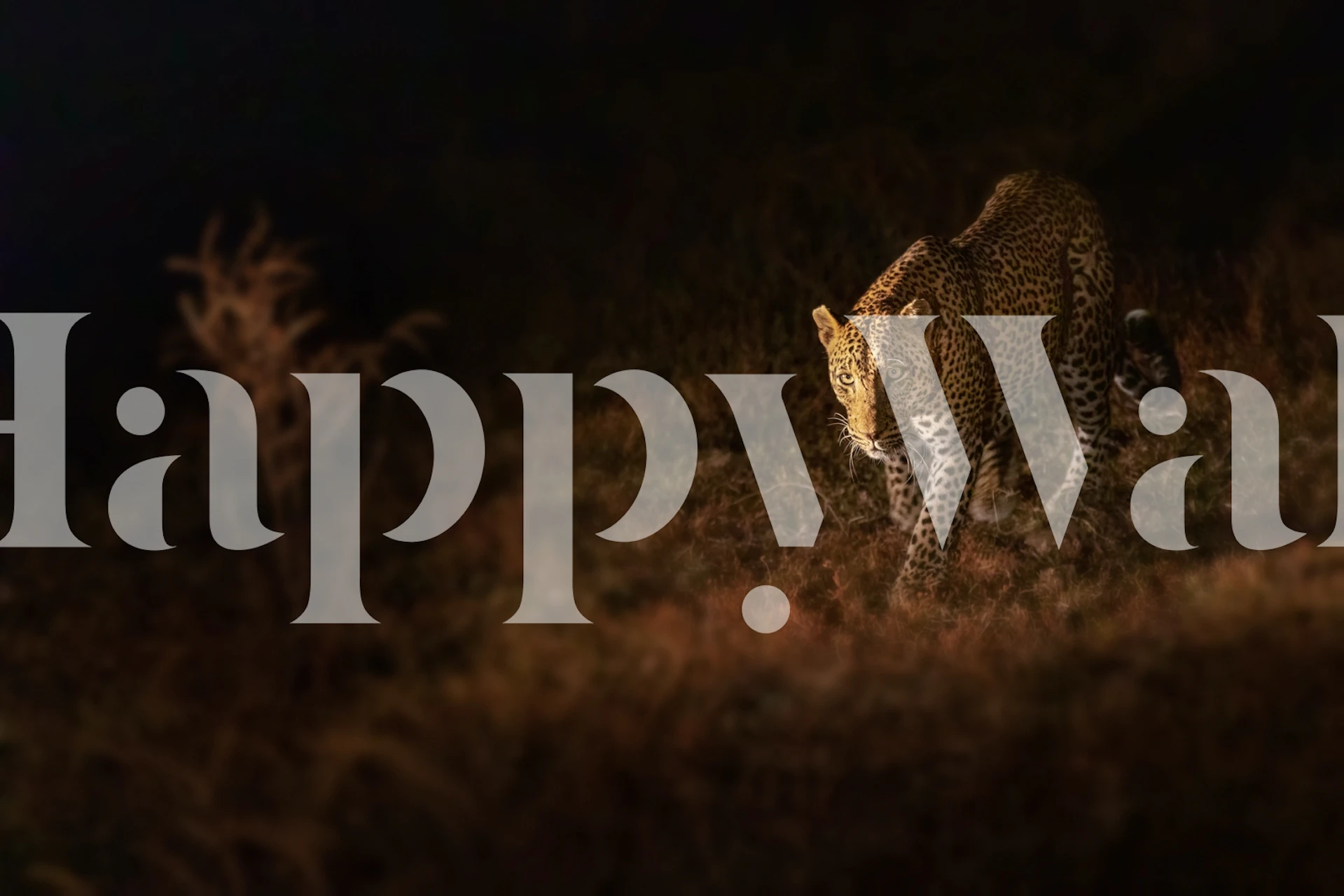 Leopard print pattern in black and gold colors wallpaper