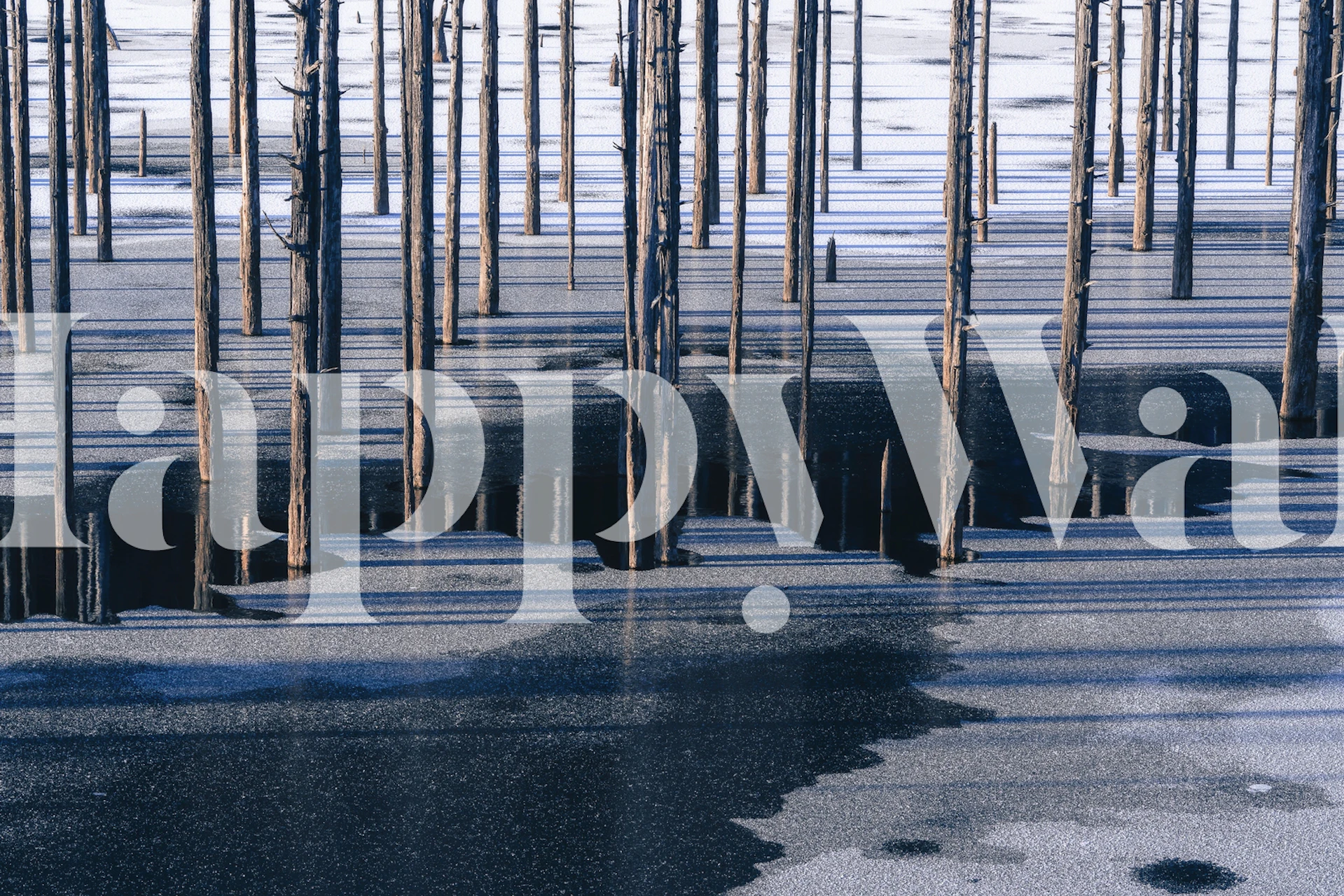 Winter lake wallpaper showcasing tall trees in water