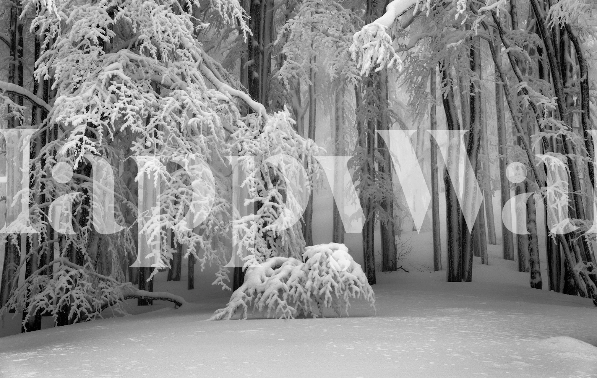 Vinterlandskab tapet i et rum