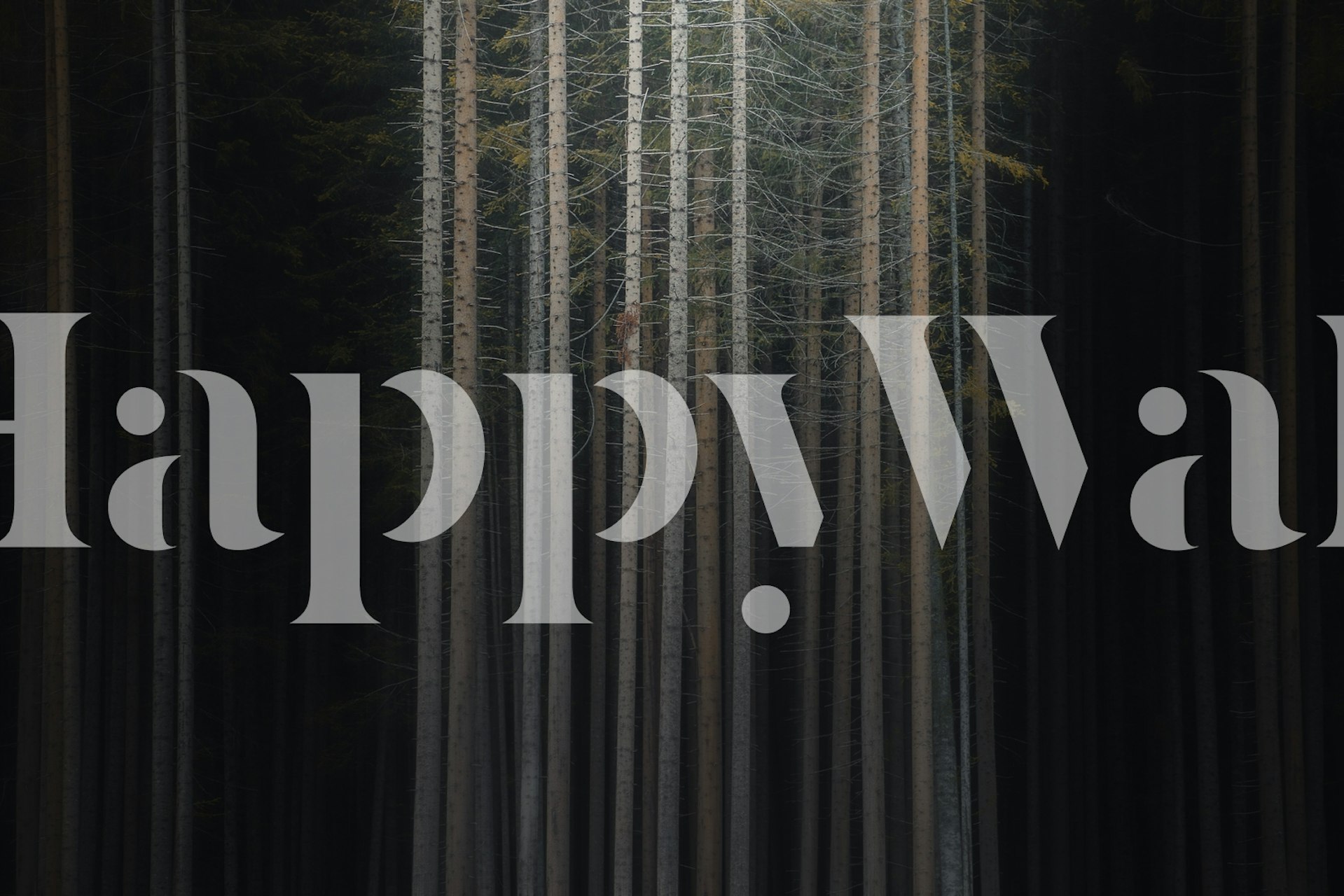 Veggmaleri som viser den stille skjønnheten til en skog i skumringen med høye trær