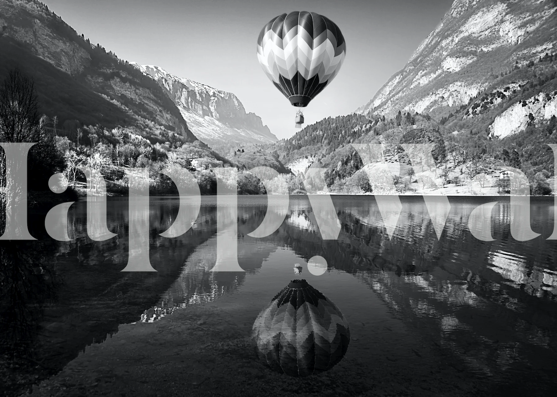 Hot air balloon wallpaper in a scenic room