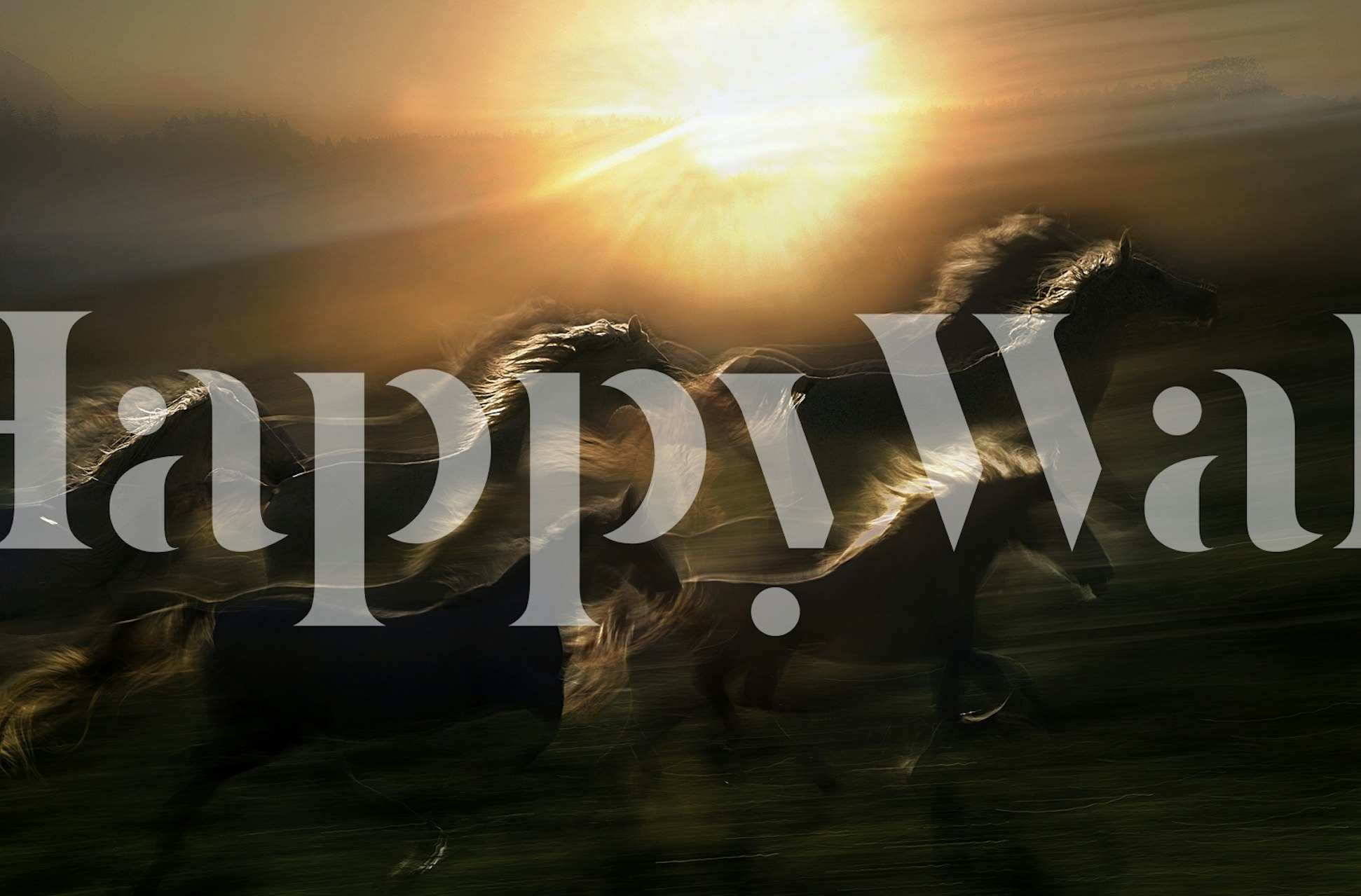 Galloping horses in motion with sunset colors, abstract style wallpaper