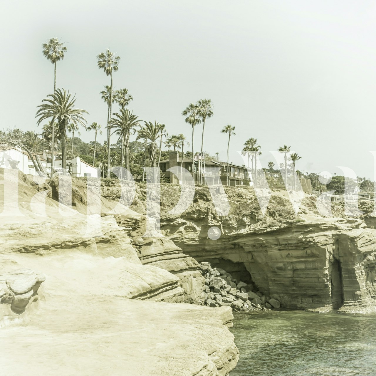 Palm trees and rocky cliffs by the ocean in muted colors wallpaper