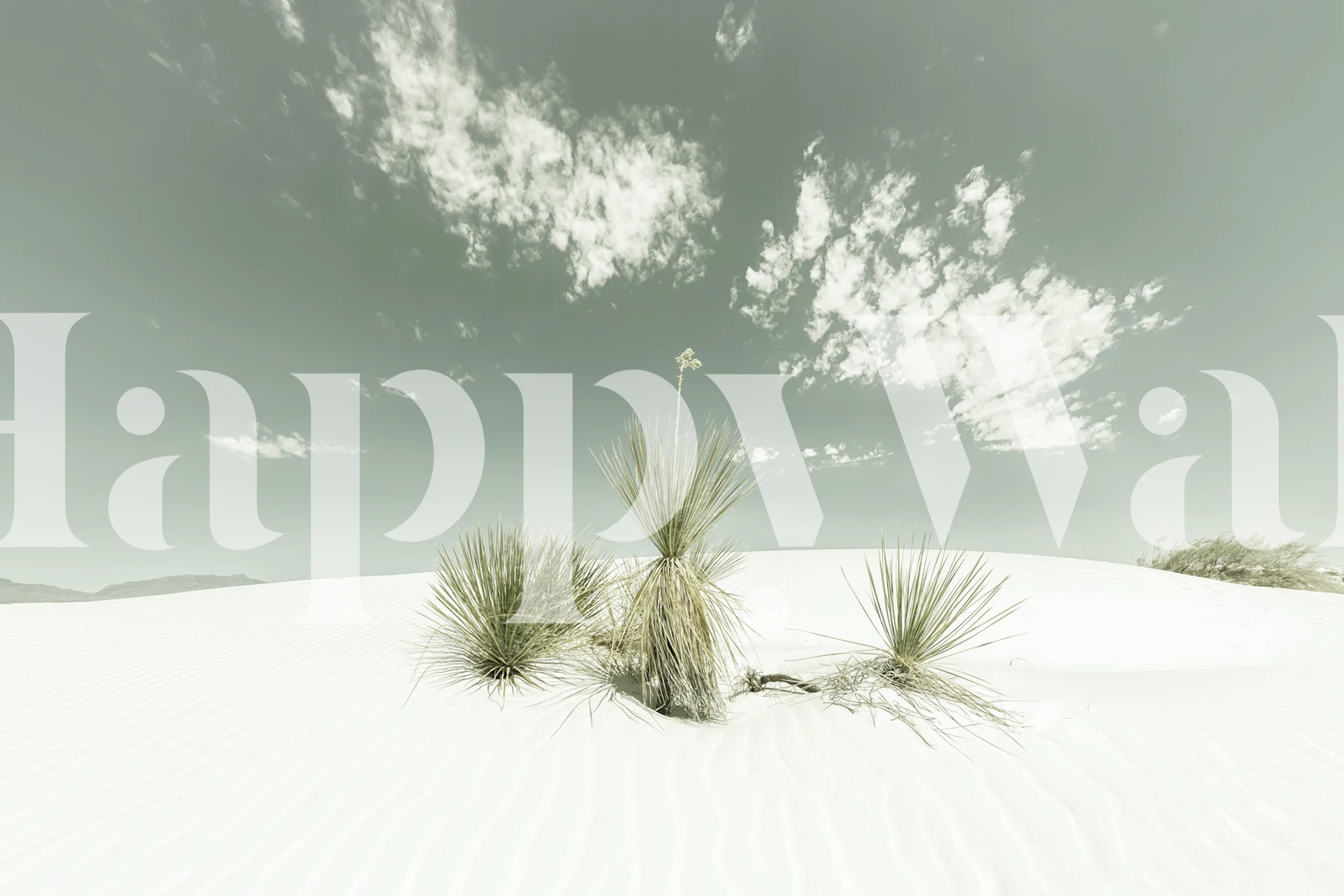 White sands wallpaper in a room setting