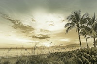 BONITA BEACH Vintage Sunset ταπετσαρία