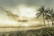 BONITA BEACH Vintage Sunset