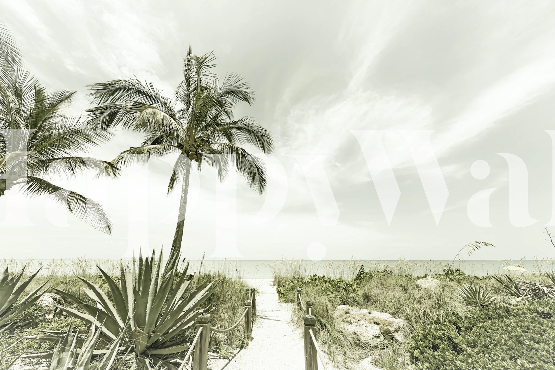 Vintage wall mural with a serene beach and palm trees leading to the ocean
