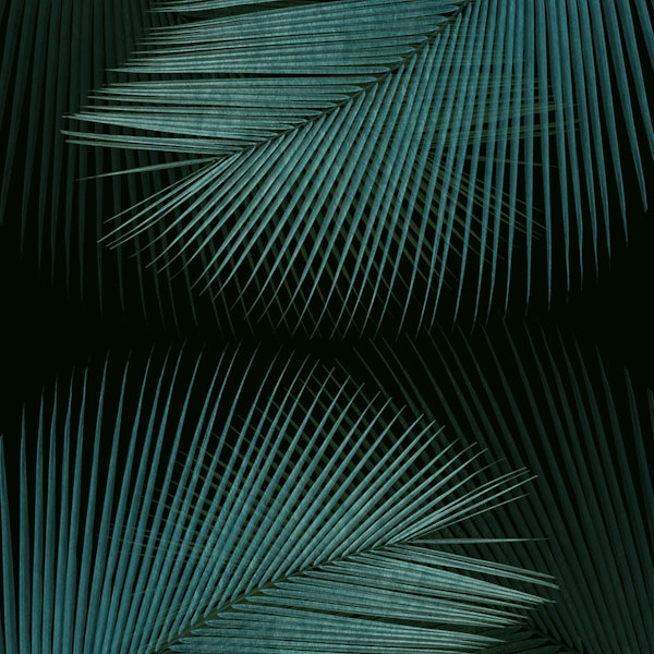 Palm leaf synchronicity - teal