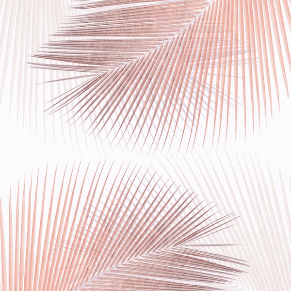 Palm synchronicity - rose gold