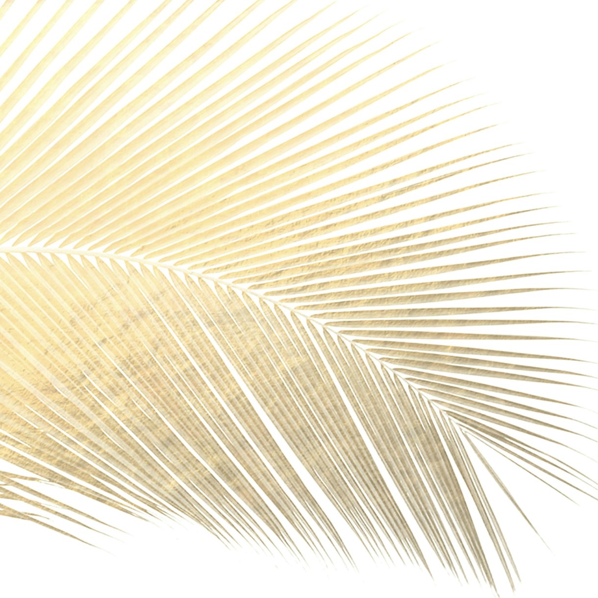 Palm Leaf Gold Wallpaper | Happywall