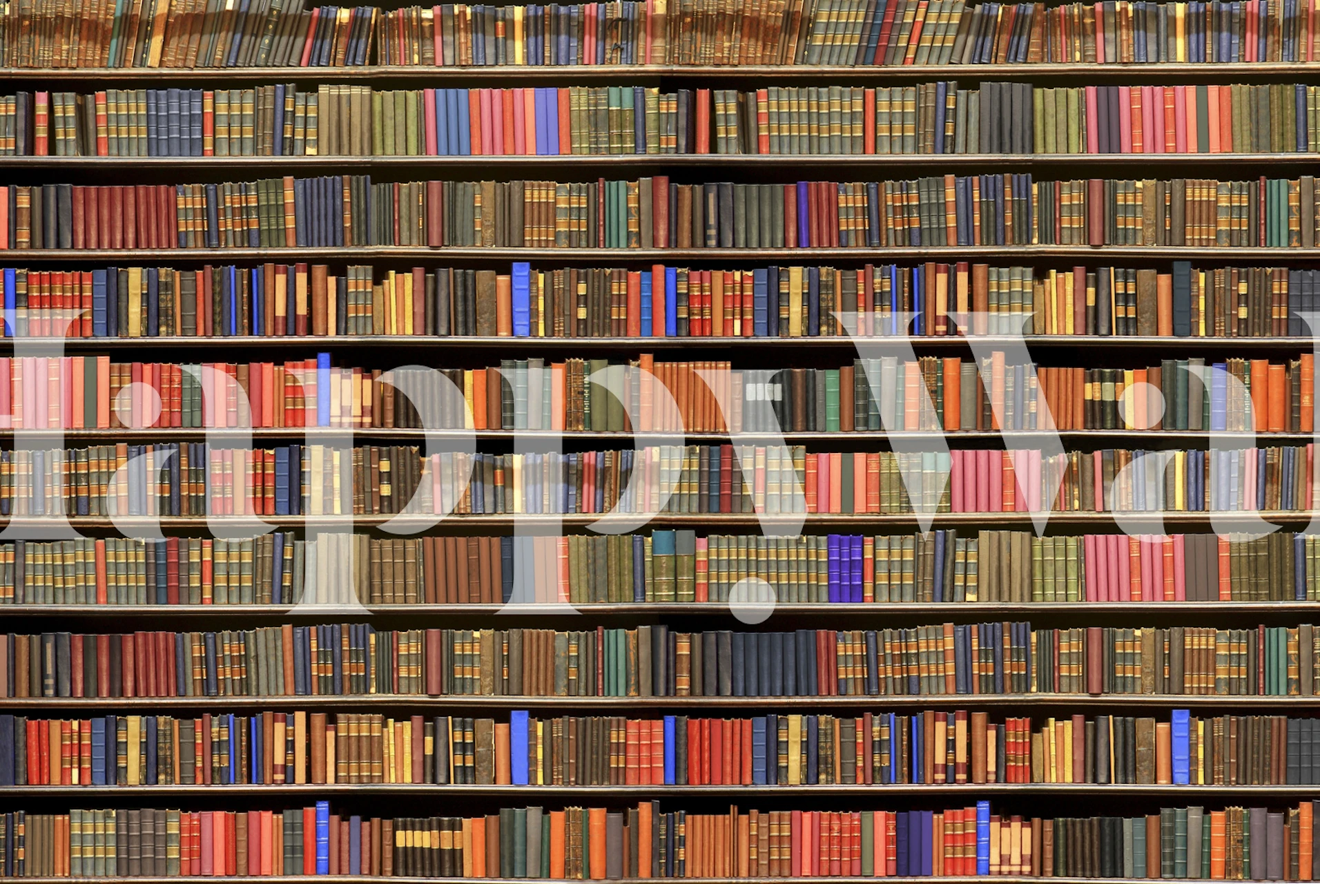 Bookshelf wallpaper featuring colorful spines and vintage books