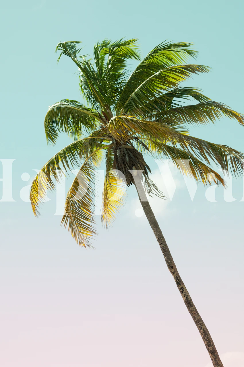 Tropical Palm Tree Cali 1 in einem Raum