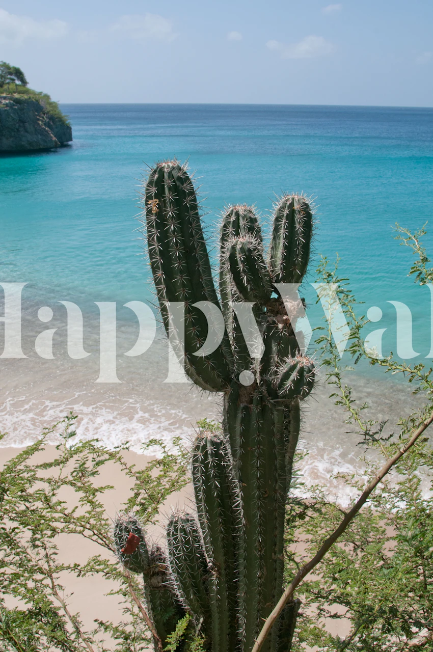 Cactus with ocean background and blue water wallpaper