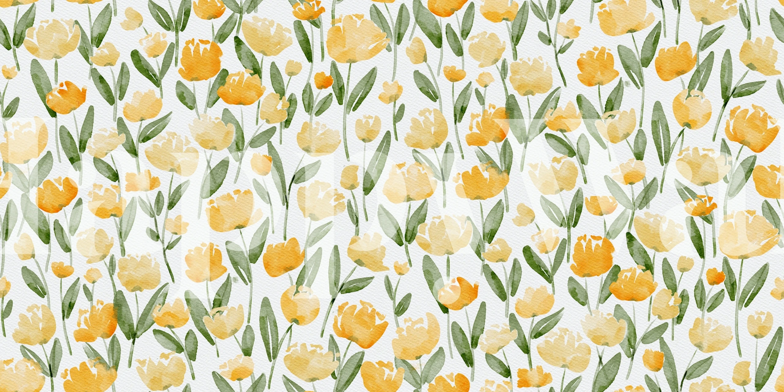Watercolor yellow tulip flowers on white background wallpaper