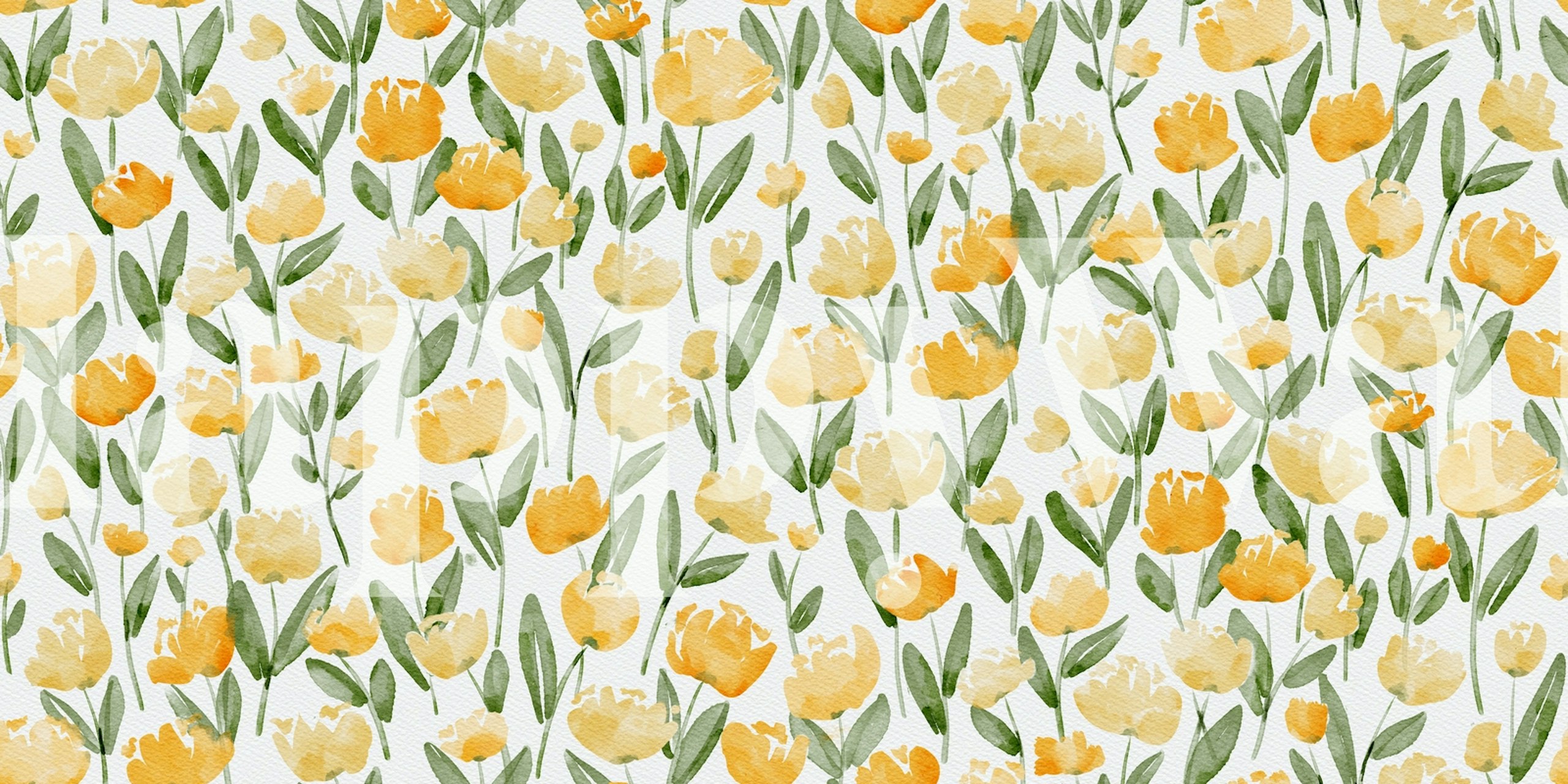 Watercolor yellow tulip flowers on white background wallpaper