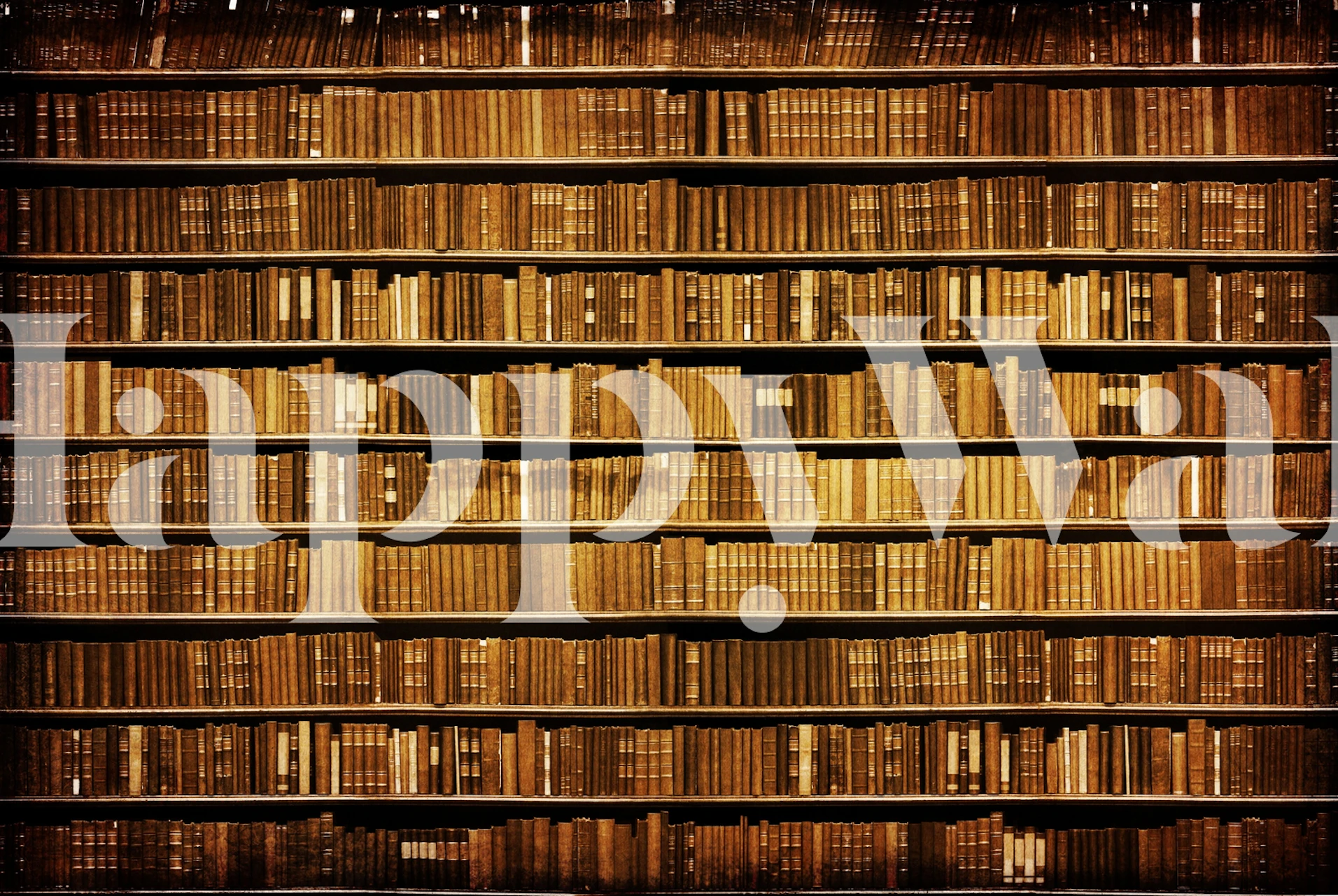 vintage bookshelf pattern brown tones wallpaper