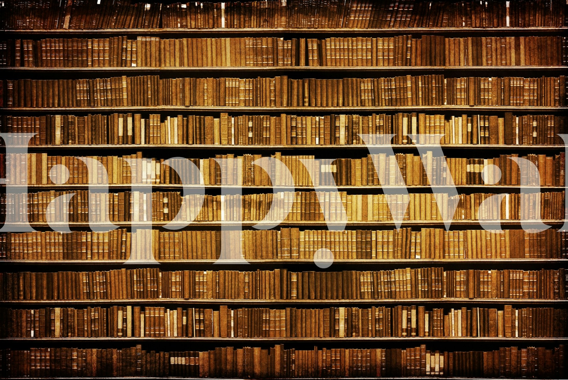vintage bookshelf pattern brown tones wallpaper