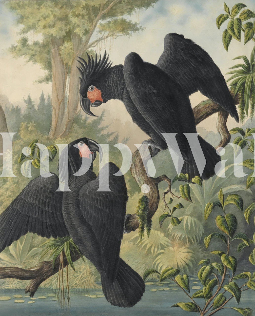 Black cockatoos with lush green foliage wall mural