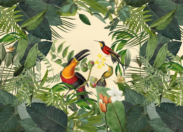 Toucans Jungle Paradise