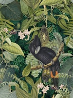 Cockatoo Jungle Friends wallpaper