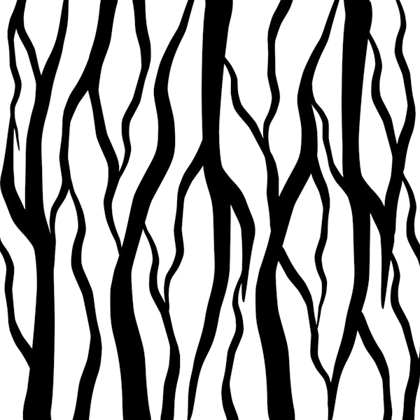 Zebra Crossing Roots Design