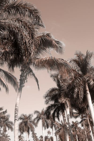 Τοιχογραφία