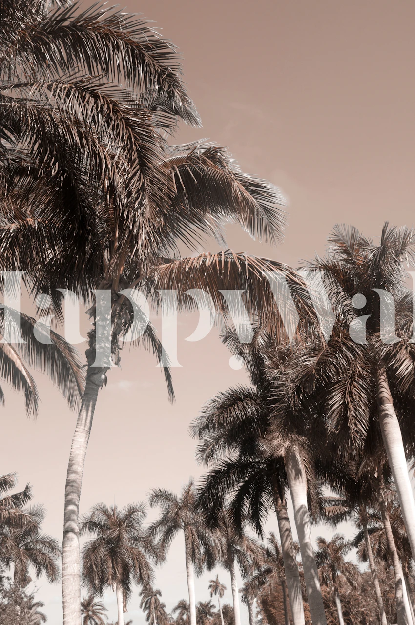 Floridian Palm Tree Vibes 3 i et rom