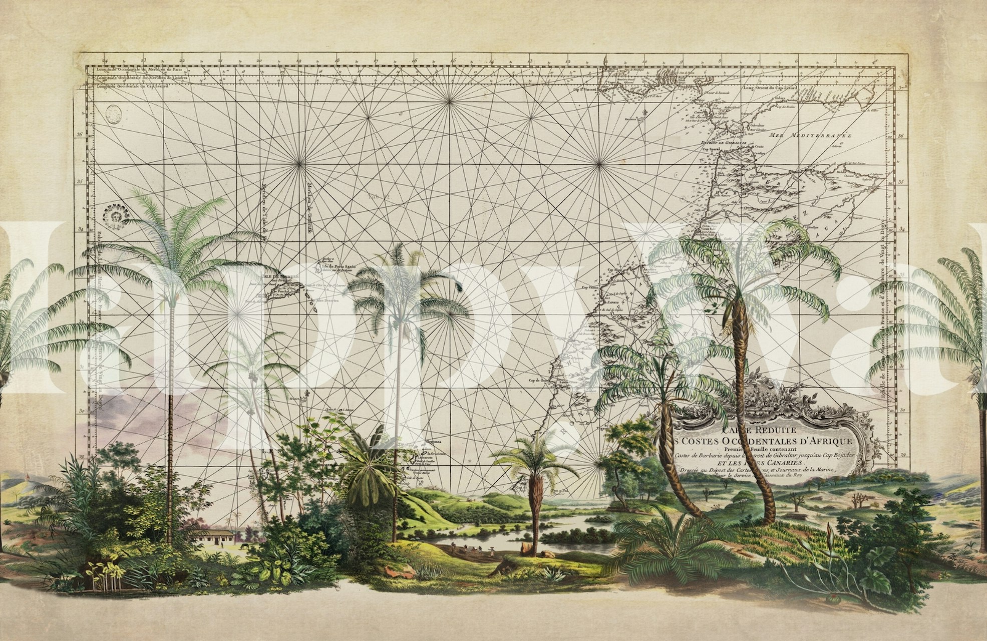 Tropical map wallpaper featuring palm trees and a vintage nautical theme