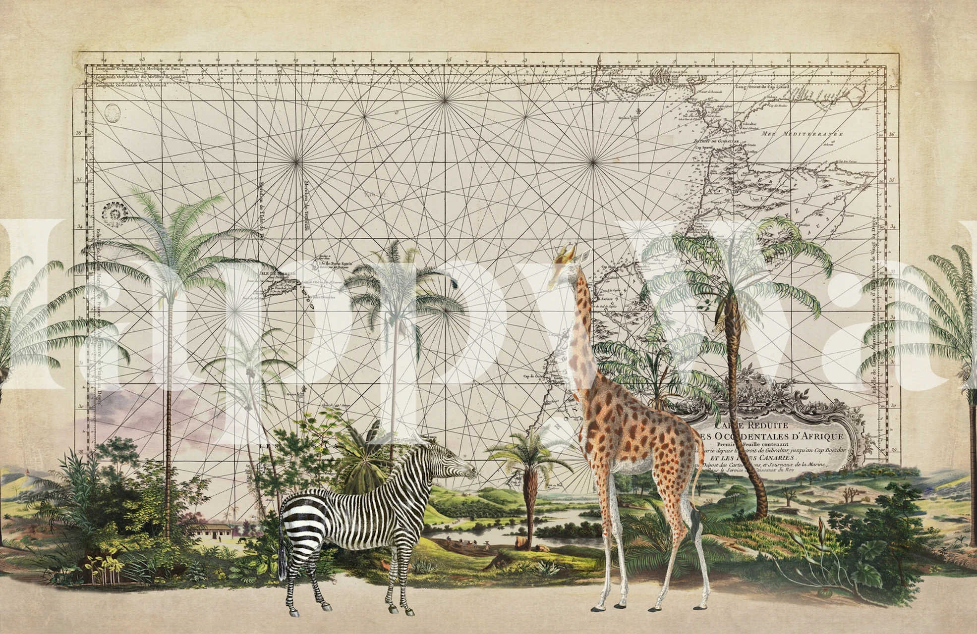Explore Africa wall mural featuring giraffe, zebra, palm trees, and vintage map