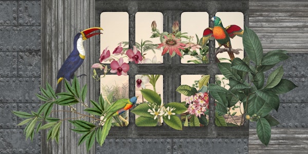 Lost Jungle Paradise