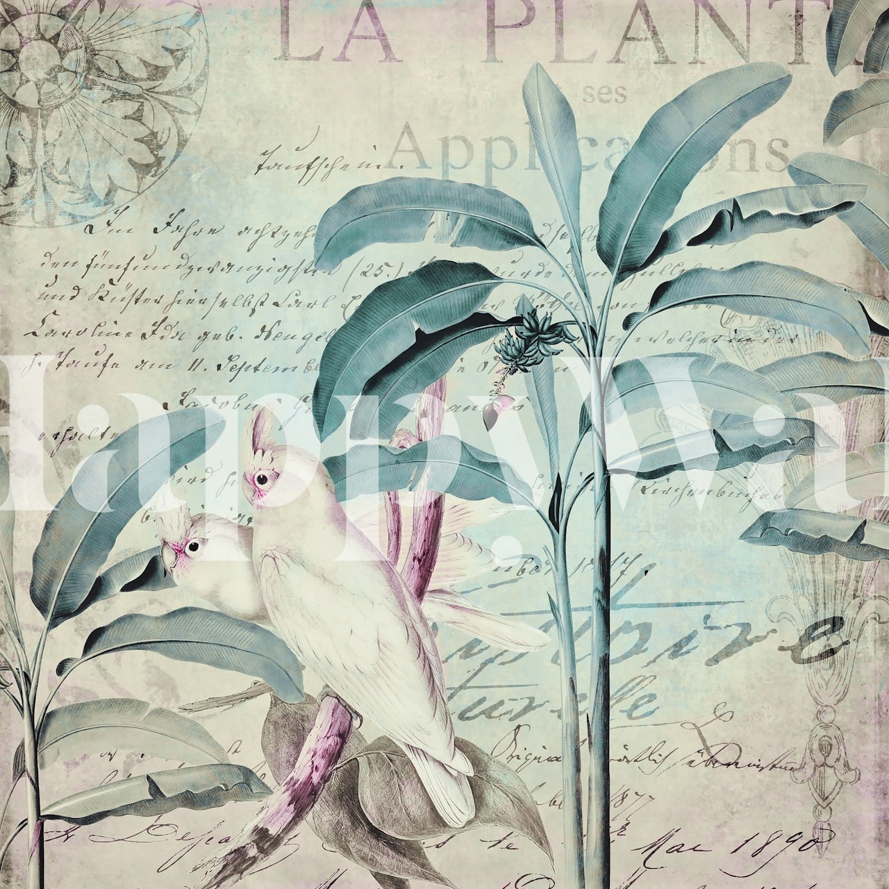 Cockatoo Nostalgia behang in een kamer