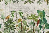 Tropical Birds Journey carta da parati