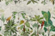 Tropical Birds Journey