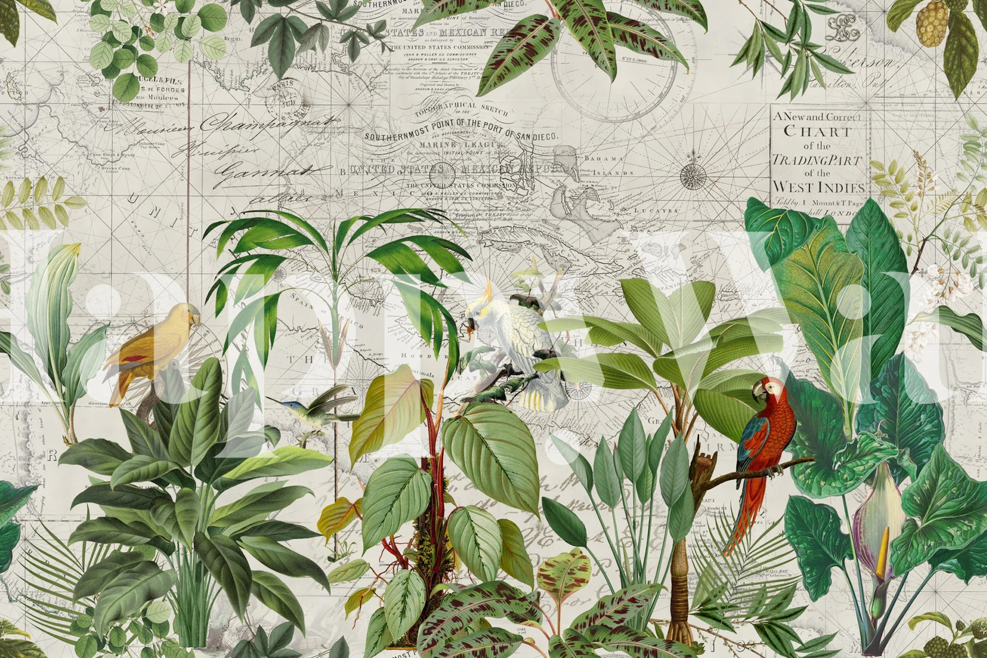 Tropical Birds Journey wallpaper design in a room