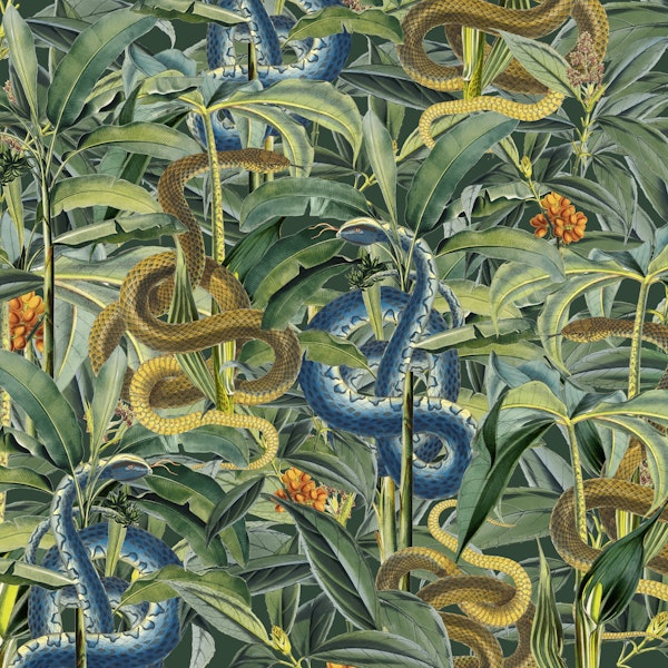 Snakes Hidden Paradise