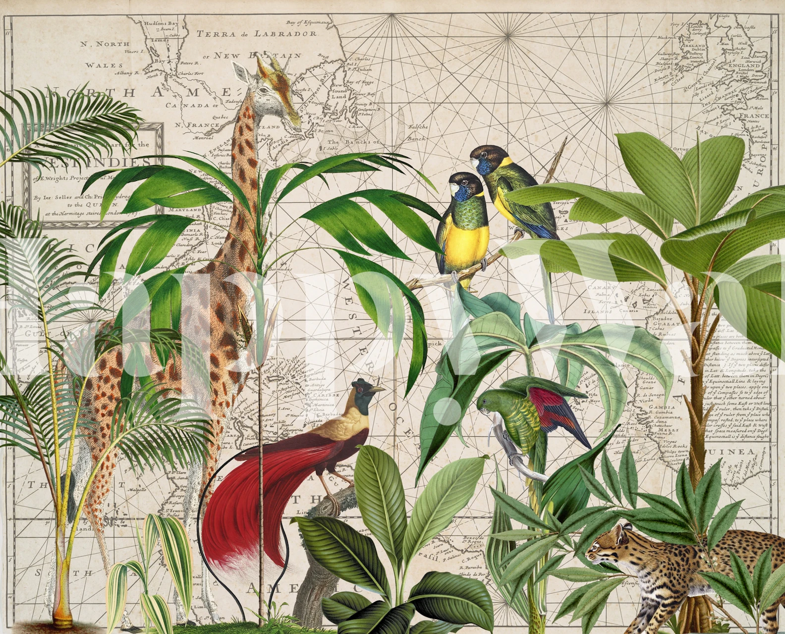 Illustrative wall mural featuring giraffe, exotic birds, and tropical plants on a map background