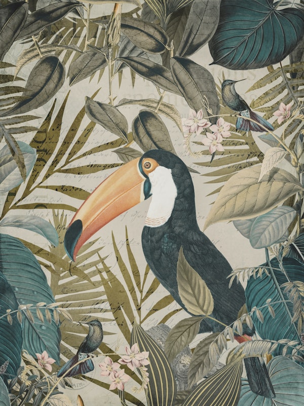 Tropical Toucan
