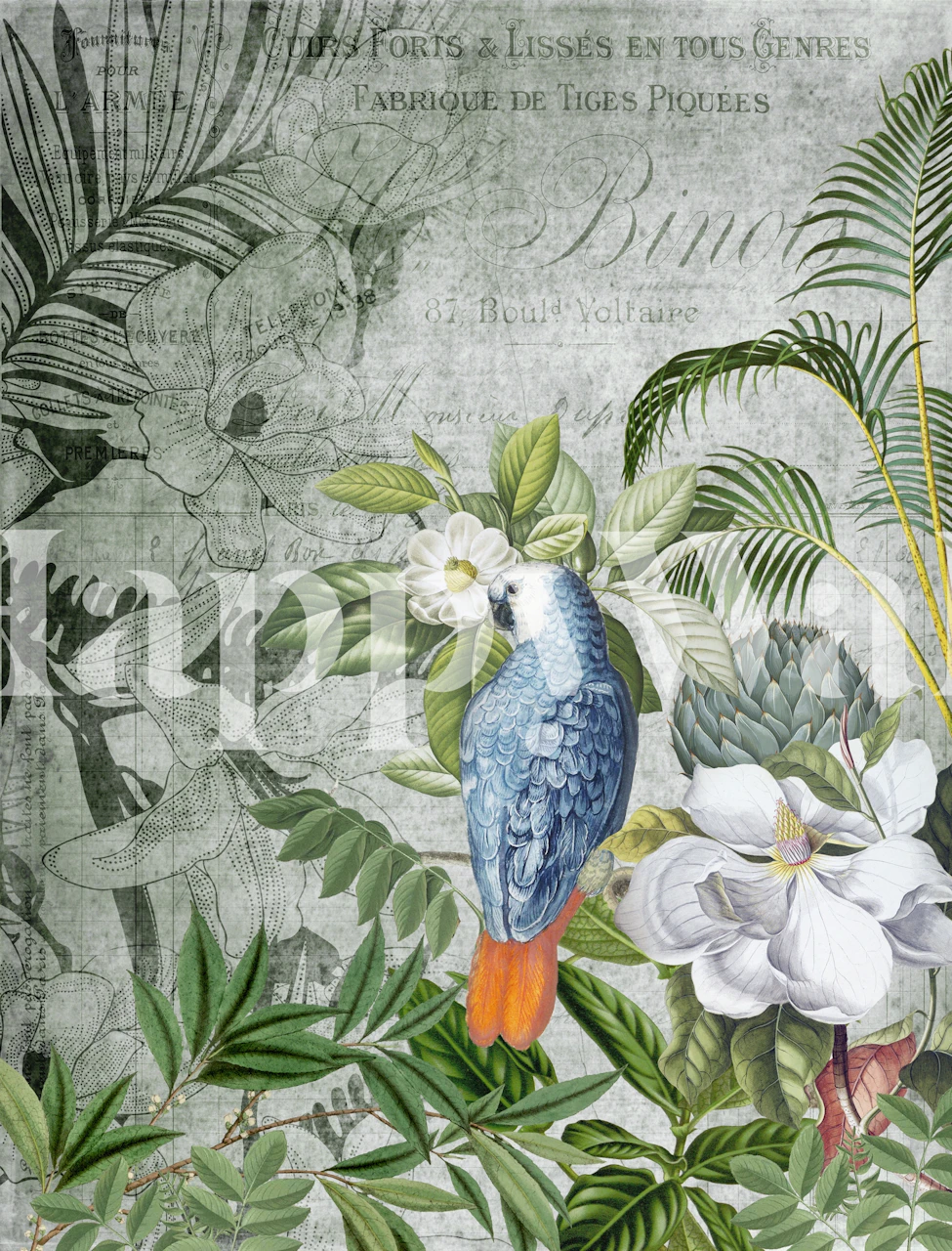 Parrots Paradise wallpaper in a room