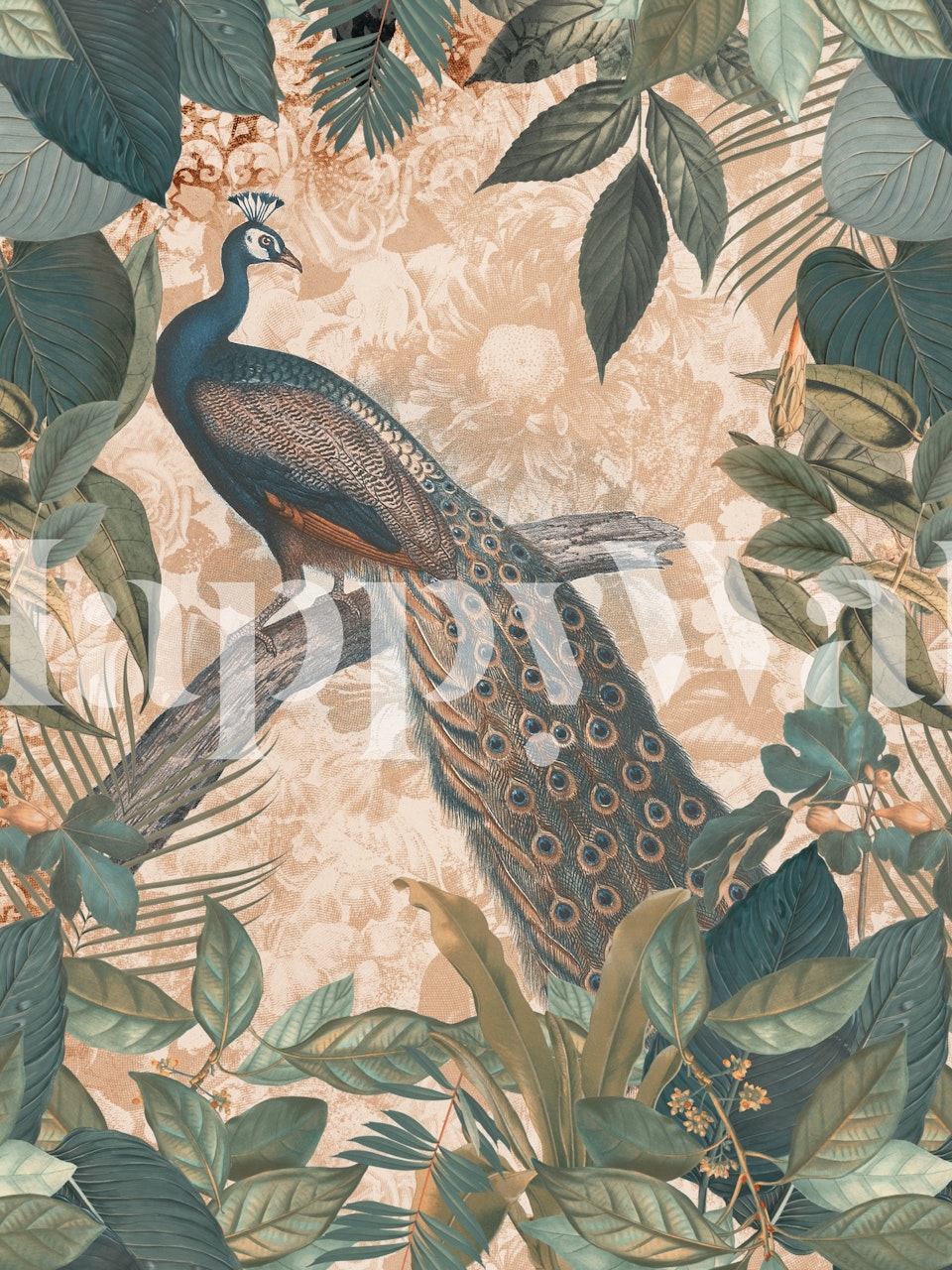 Peacock Nostalgic Garden wallpaper in a room