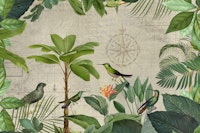 Hummingbirds Tropical Paradise ταπετσαρία