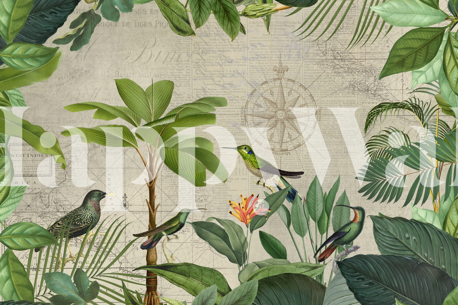 Colorful hummingbirds and lush green leaves vintage wallpaper