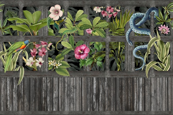 Lost Place Jungle Loft