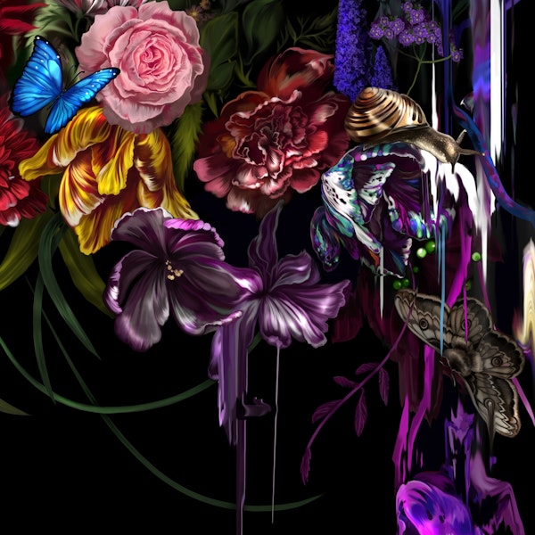 Paradise corrupt _sectionD