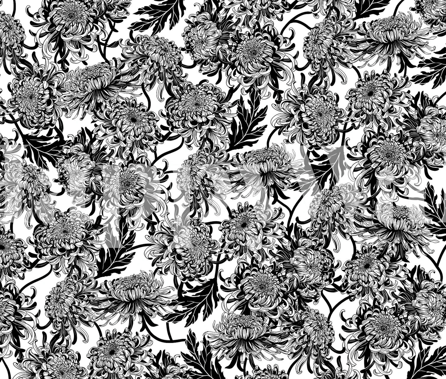 Chrysanthemica blomster tapet i et rom