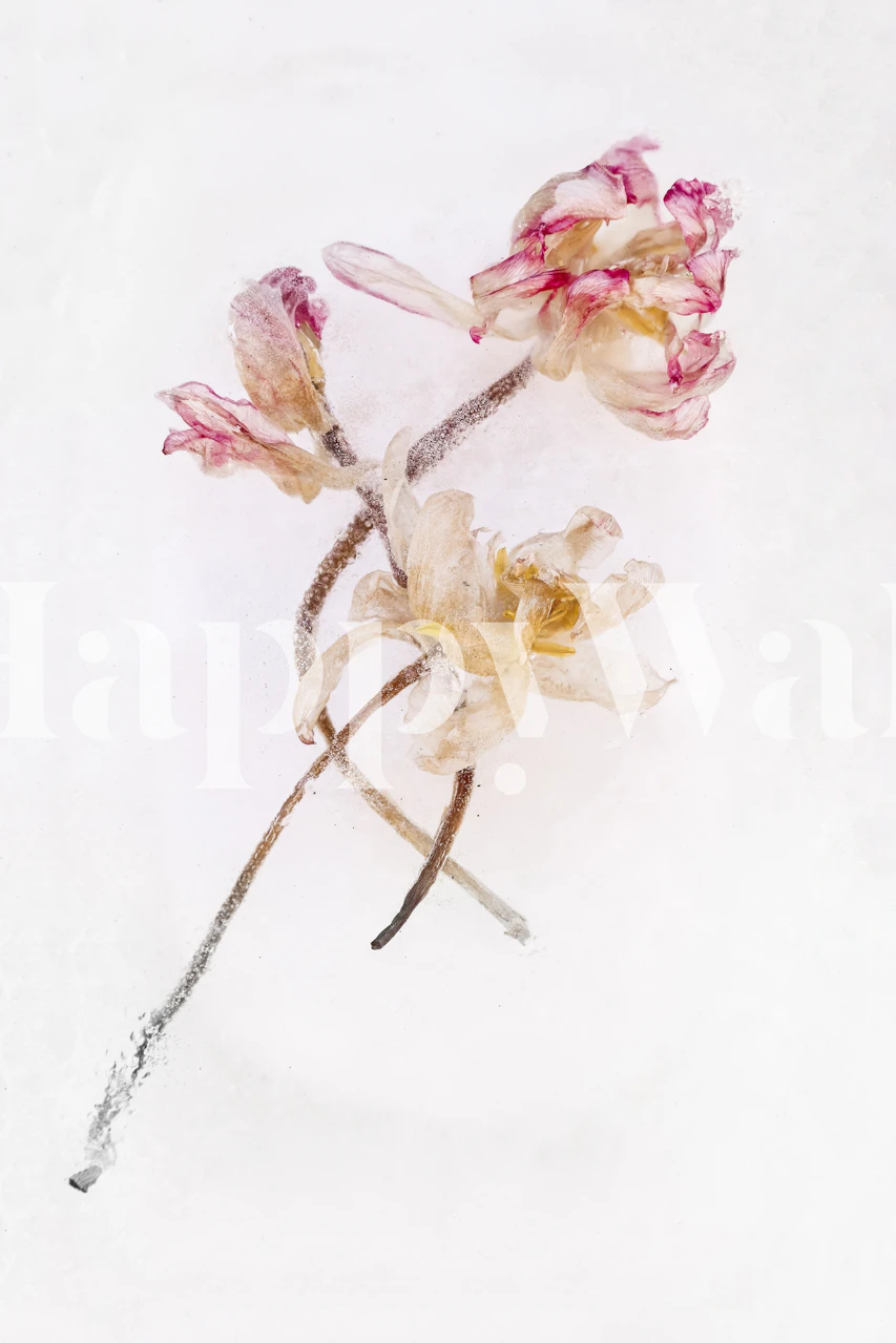 Tapeta Frozen Beauty - Tulips v pokoji