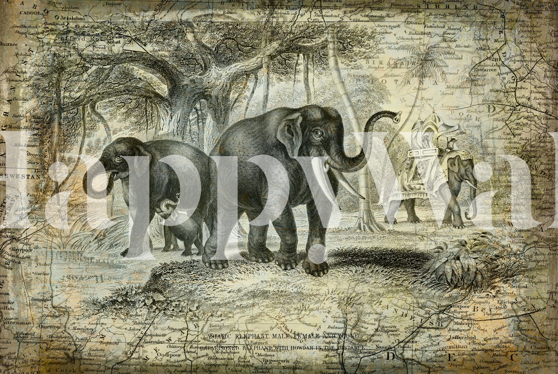 Elephants of India wallpaper in a room setting
