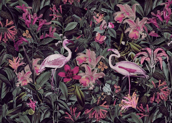 Flamingos Jungle Paradise II
