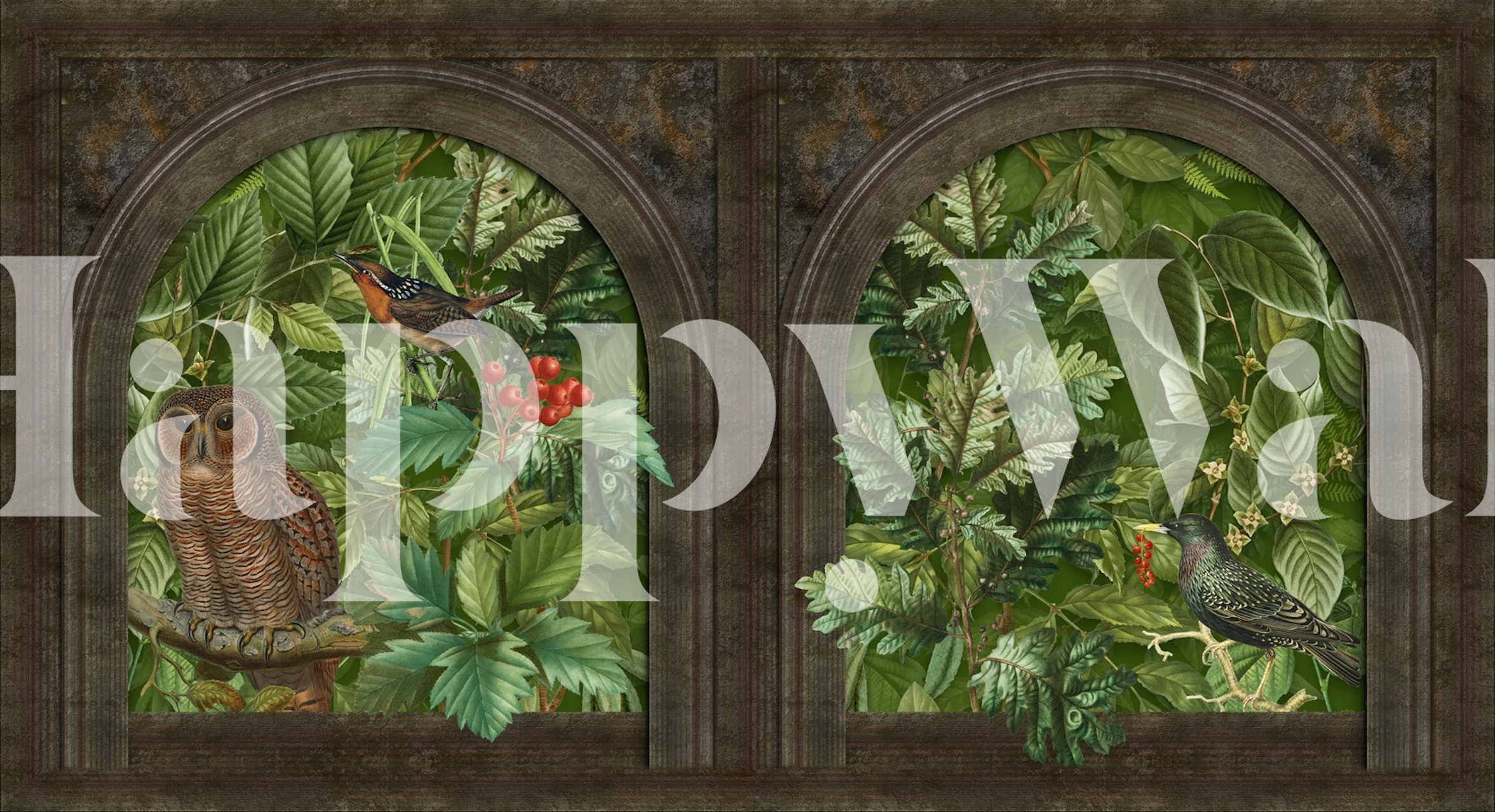 Owl and birds wallpaper in a room